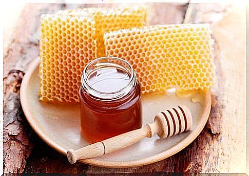 honeycombs and honey