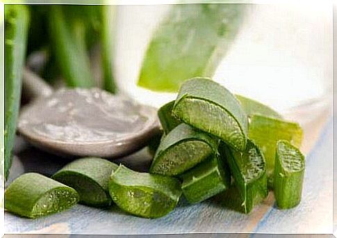 Aloe vera can be used to overcome flatulence.