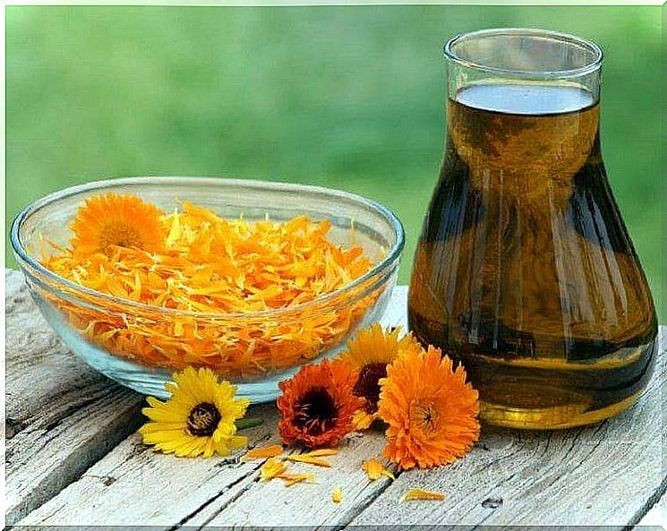 treatment of small bones with calendula