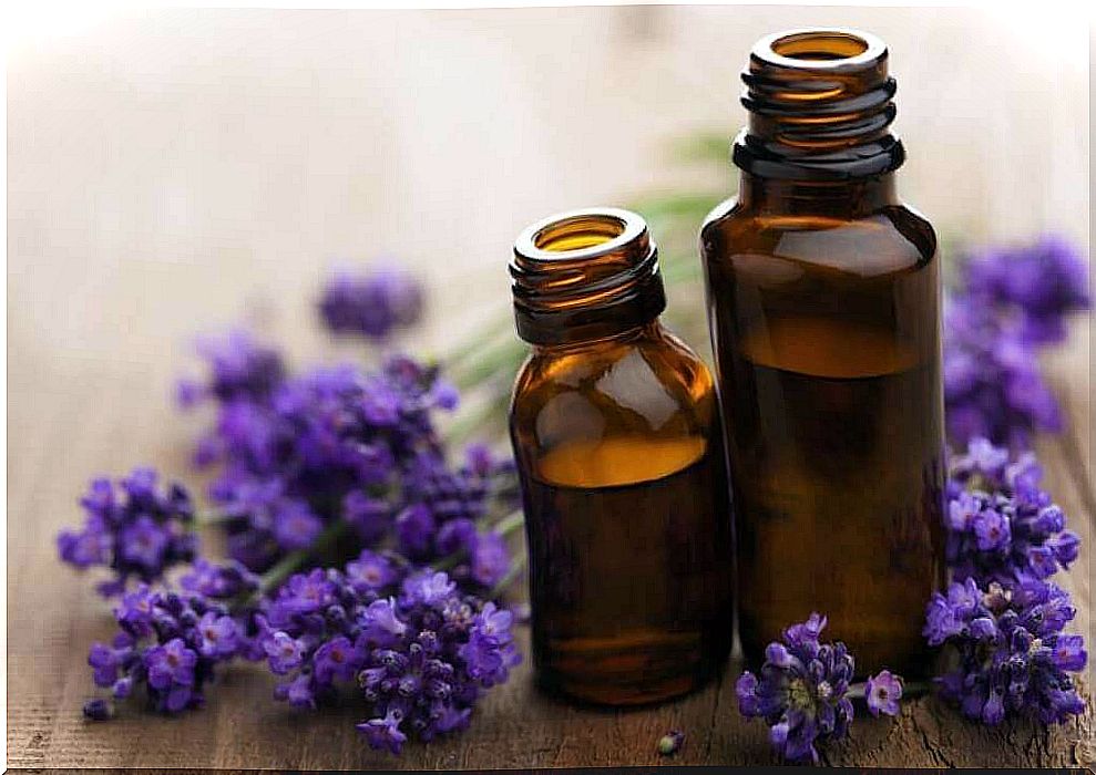 lavender for the treatment of sciatica