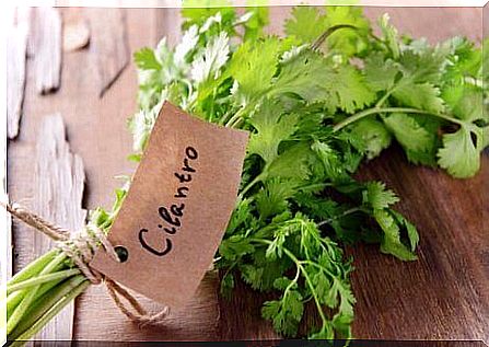 7 great health benefits of coriander