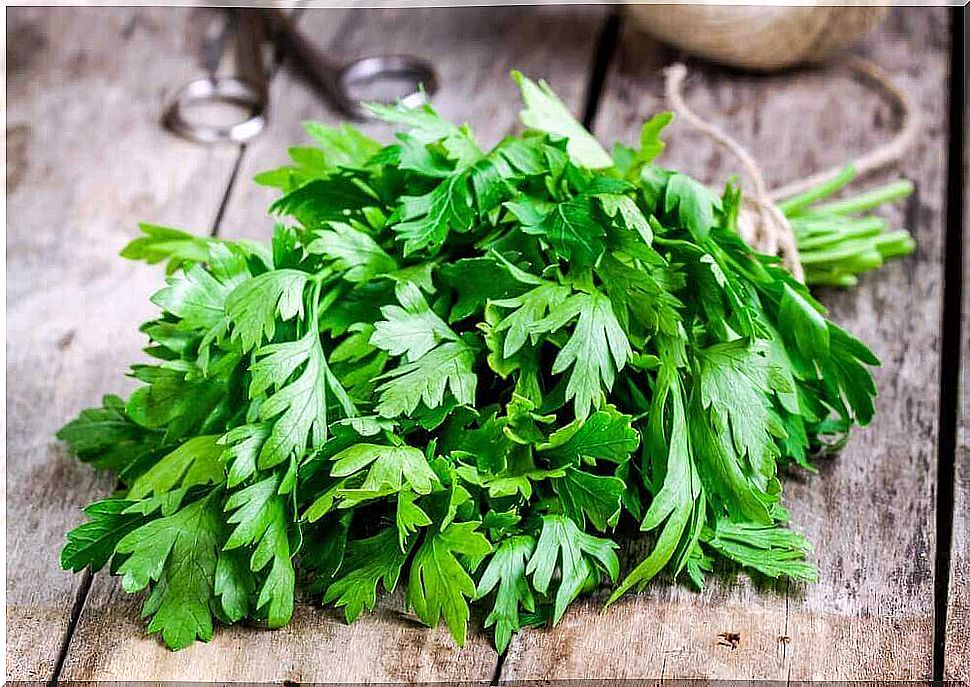 take advantage of the health benefits of coriander