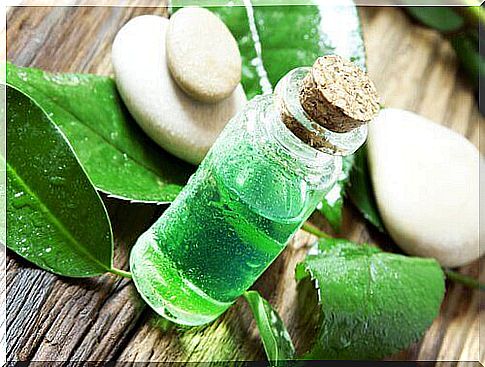 tea tree oil for vegetable disinfection