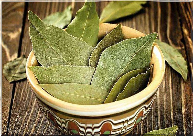 bay leaves treatment for anxiety