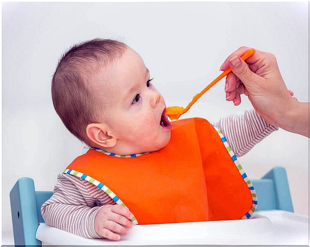 The baby benefits from fruit purées