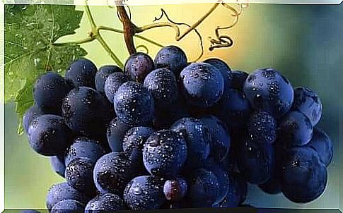 Grapes are detrimental to weight loss.