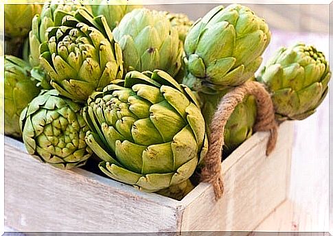 artichoke for weight loss