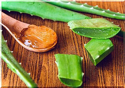 skin revitalization with aloe vera