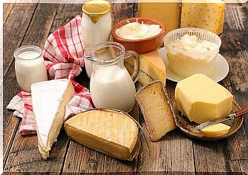 dairy products