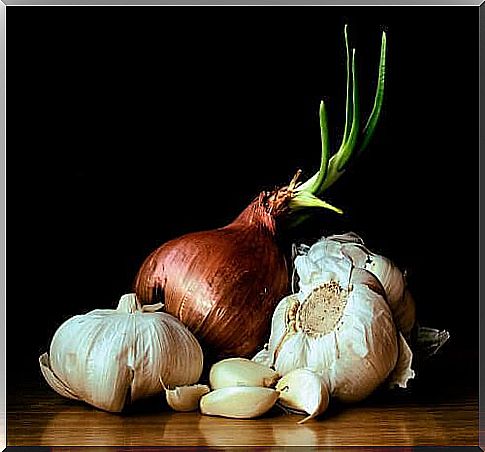 to Grow Garlic at Home |