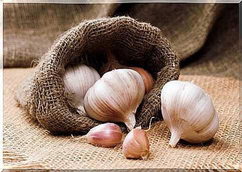 to Grow Garlic at Home |