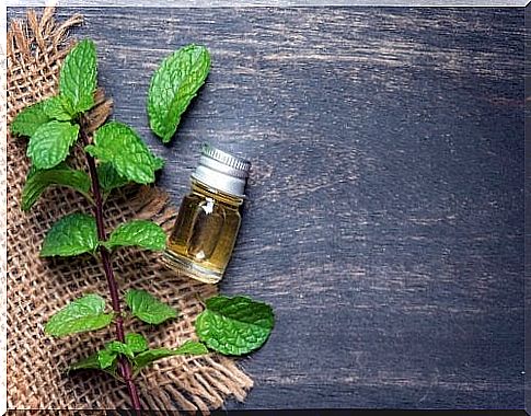 The health benefits of mint oil