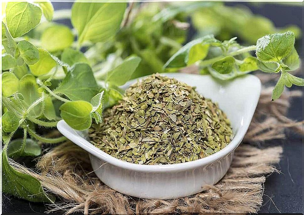 in the treatment of oregano amoebiasis