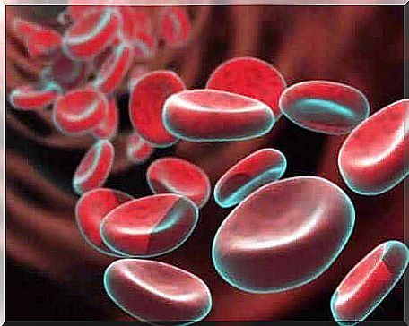 Red blood cells carry oxygen