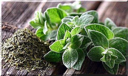 The combination of Oregano and honey helps to remove the mucus that has accumulated in the lungs