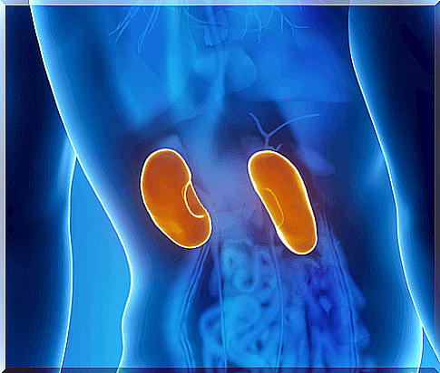 Kidney inflammation: symptoms and treatment