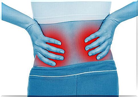 kidney infections cause pain in the lower back