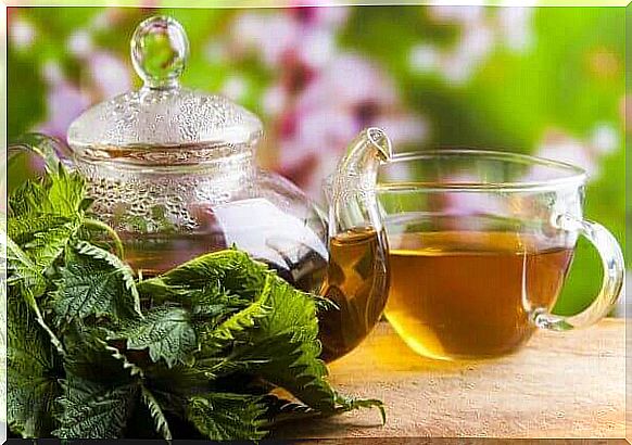 nettle tea for kidney pain