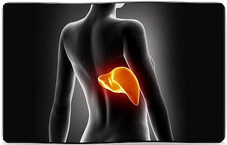 A liver cleansing regimen helps in weight loss