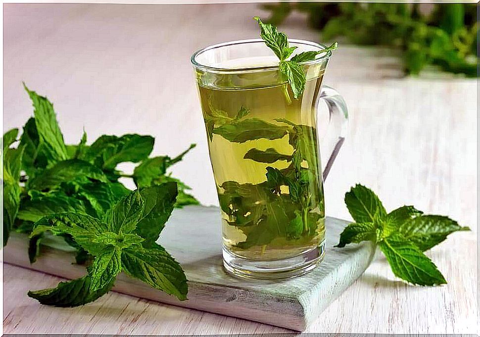 Mint has numerous health properties