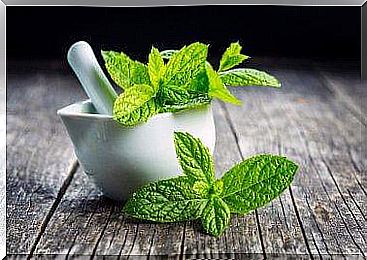 Natural treatments to stop vomiting from mint