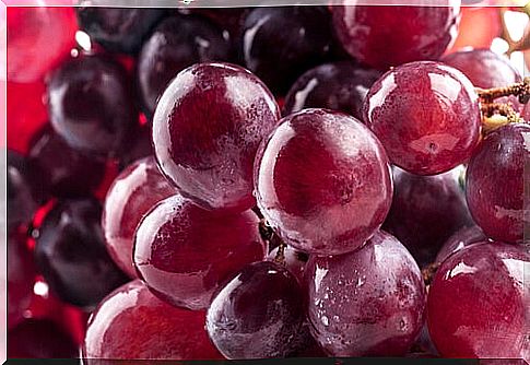 resveratrol in grapes