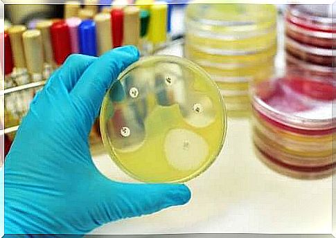 The antibiotic effect of rifampicin is related to the ability of the active substance to inhibit the synthesis of ribonucleic acid (RNA) bacterial cells.