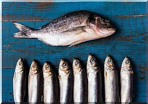 The healthiest foods for the elderly: fish.