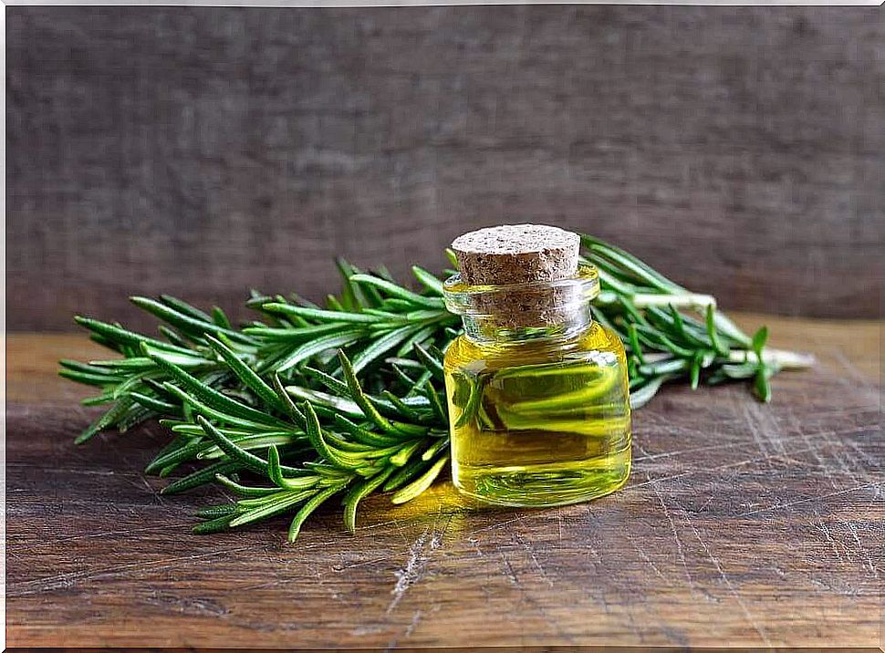 The Incredible Uses and Benefits of Rosemary