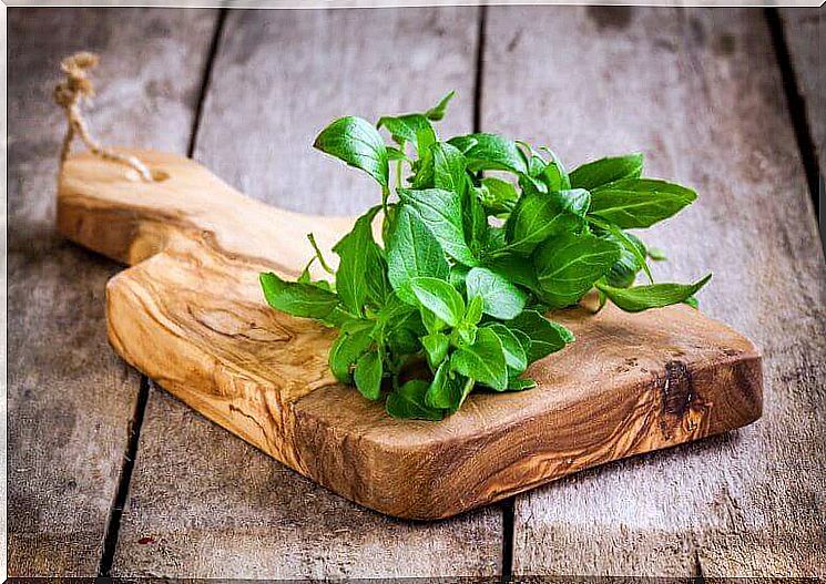 fresh basil on a cutting board