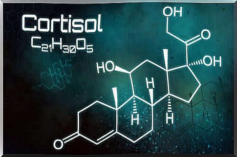 Too much cortisol: everything you need to know