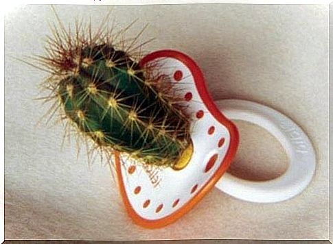 the pacifier part of the pacifier is a cactus