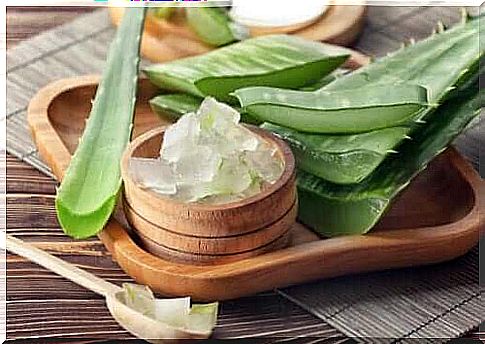 Treatment of aphthous children in children with aloe vera.